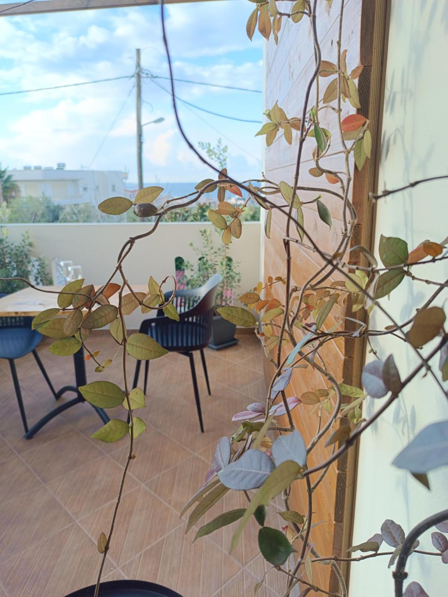 Giodriana Cozy Studio Agia Marina  Luaran gambar